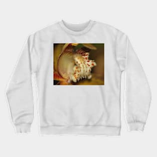 Orchid in Super Macro Crewneck Sweatshirt